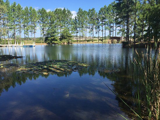 Fischer & Wieser's Das Peach Haus